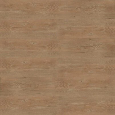 Sapucaia