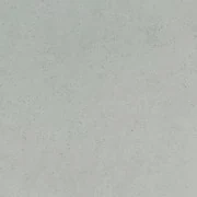 Steel
