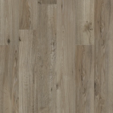 Oliva